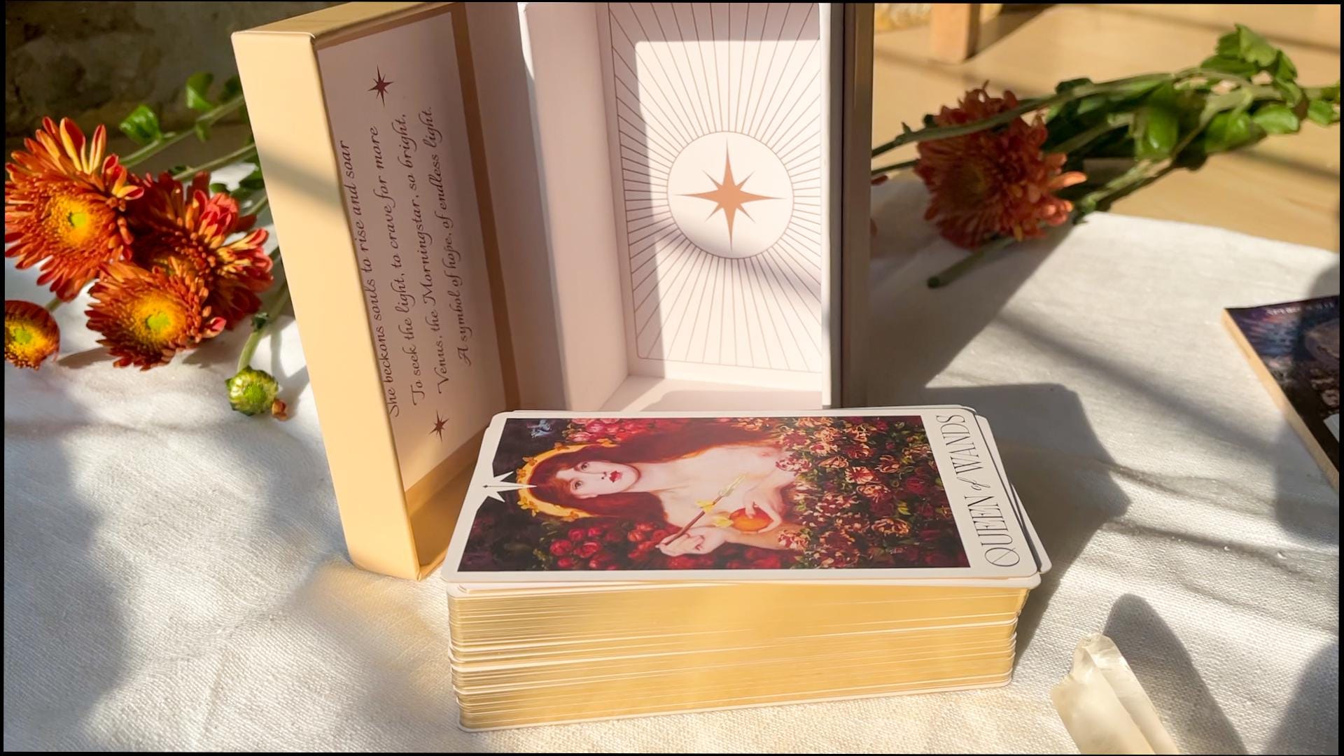 The Venus Morningstar Tarot | Venus Tarot | Venus Morningstar Tarot | Morningstar Tarot | Goddess Tarot | Greek Mythology Tarot