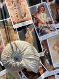 The Venus Morningstar Tarot™️ 1st Edition – Goddess & Fine Art Tarot Deck